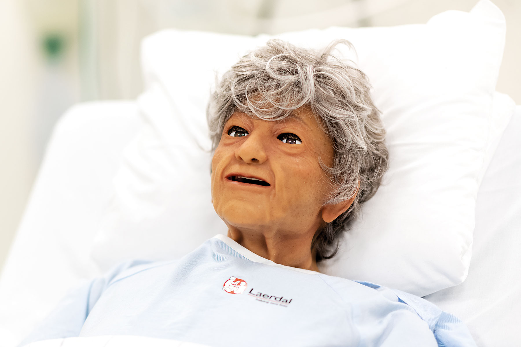 nas-geriatric-hero.jpg