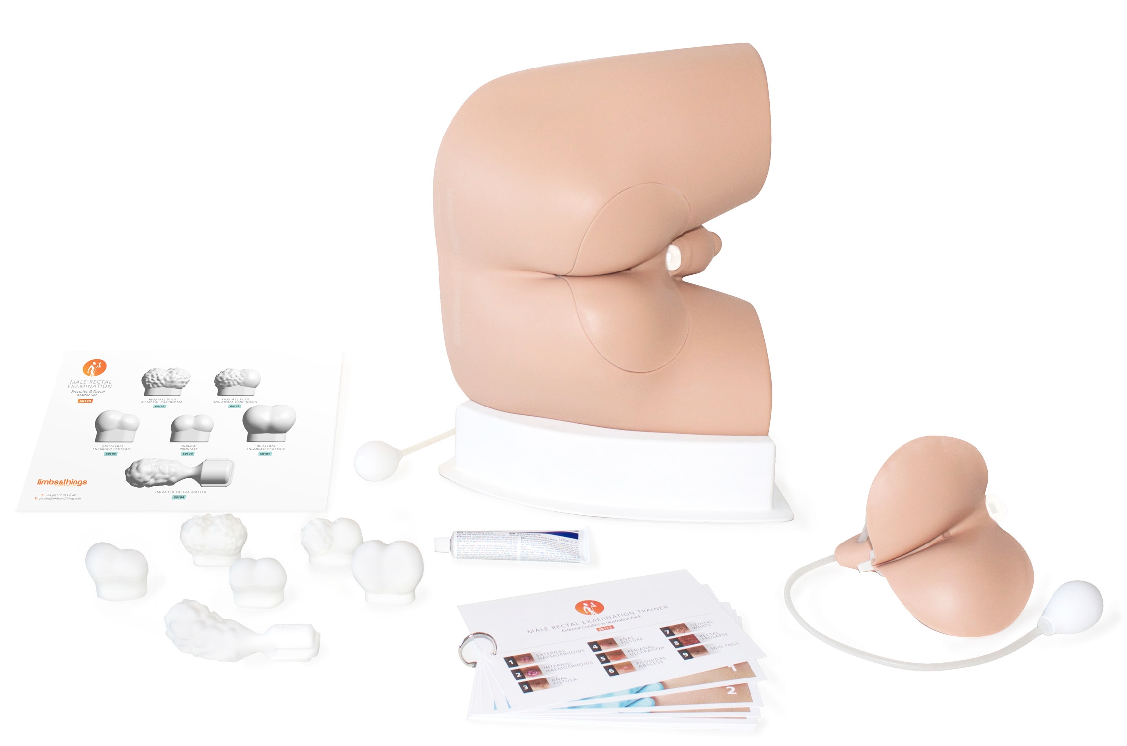 Male Rectal Examination Trainer  60170.jpg Male Rectal Examination Trainer  60170.jpg