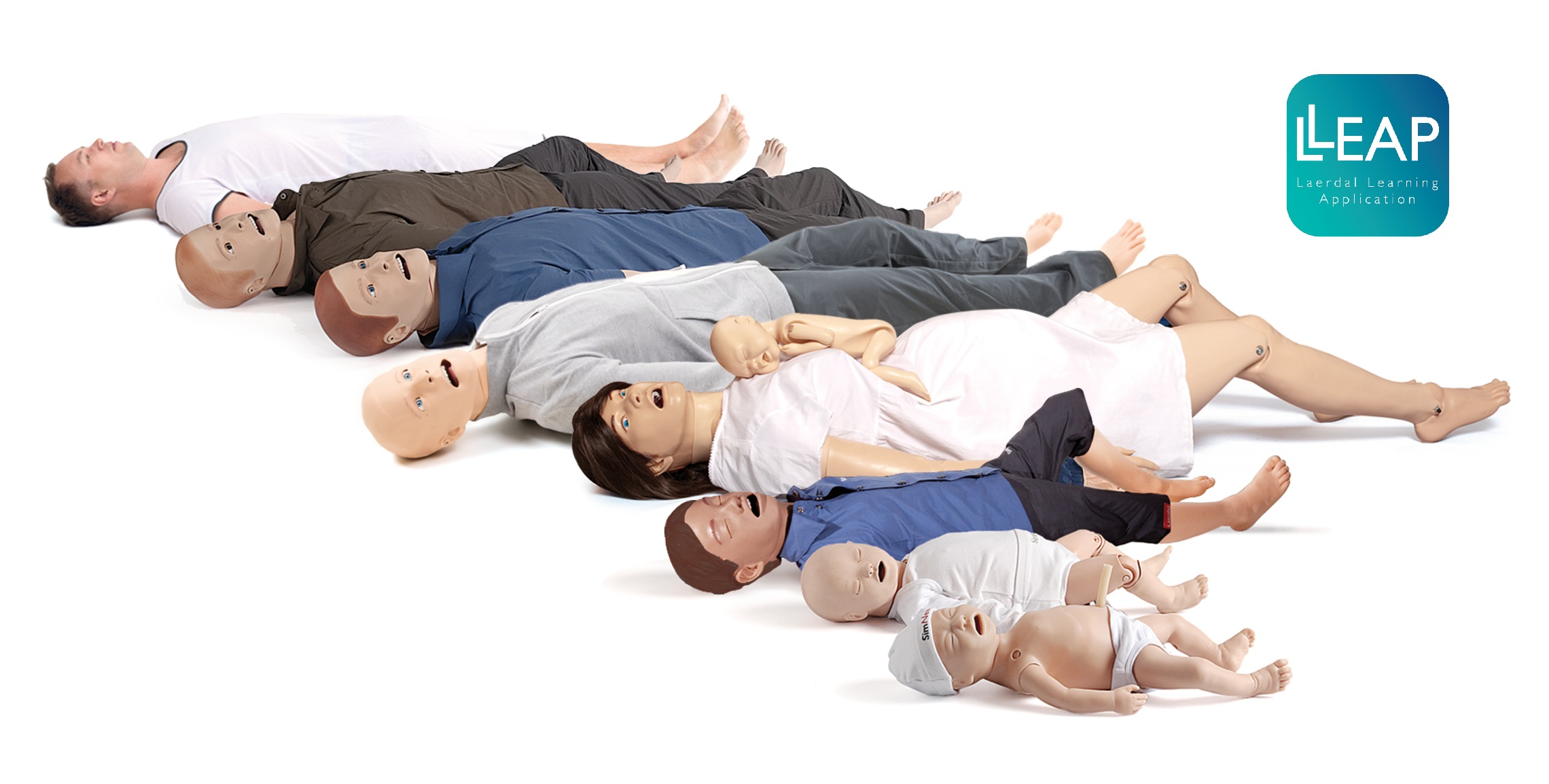LLEAP Simulator Family with Logo