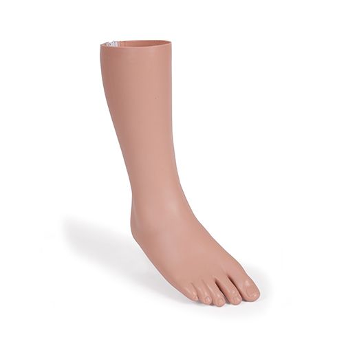 30101_FootAnkle_Skin.jpg