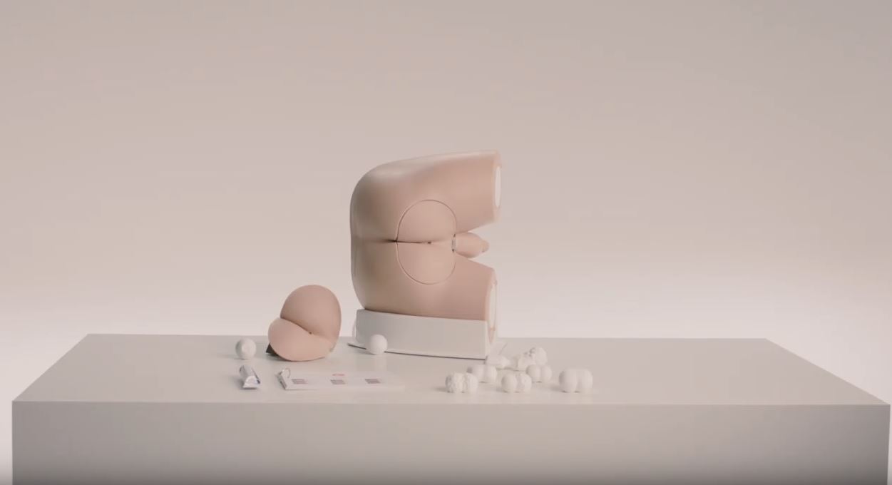 培训ModellfürRektaluntersuchungenbeimännern