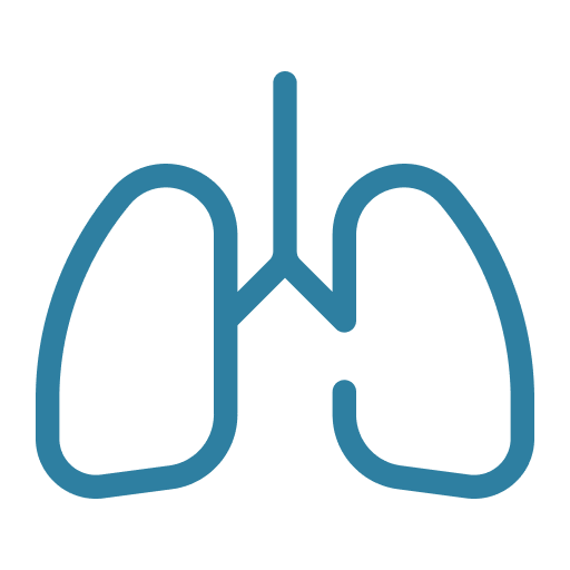 通风lungs.png