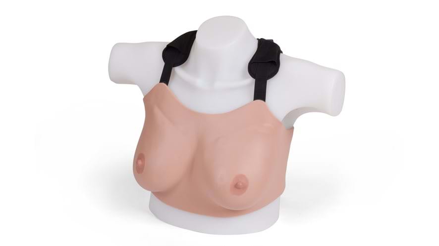 40200-01-breast-examination-stanard.jpg 40200-01-breast-examination-stanard.jpg