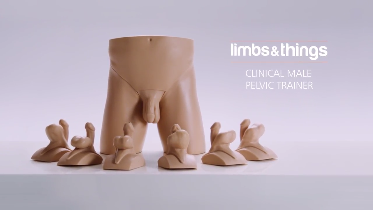 临床男性骨盆训练师
