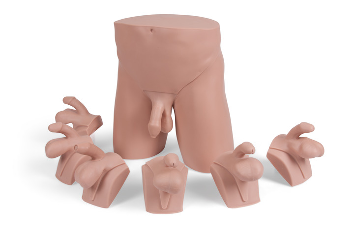 Clinical_Male_Pelvic_Trainer__CMPT__Mk_2_-_Advanced_60951_720x480_72_RGB.jpg Clinical_Male_Pelvic_Trainer__CMPT__Mk_2_-_Advanced_60951_720x480_72_RGB.jpg