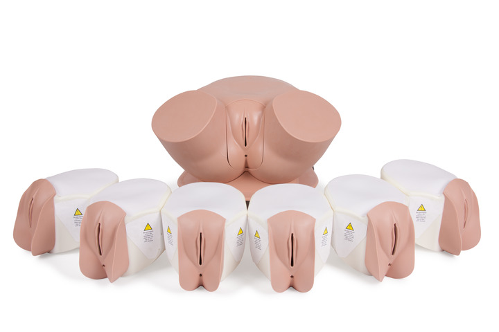 Clinical Female Pelvic Trainer Video