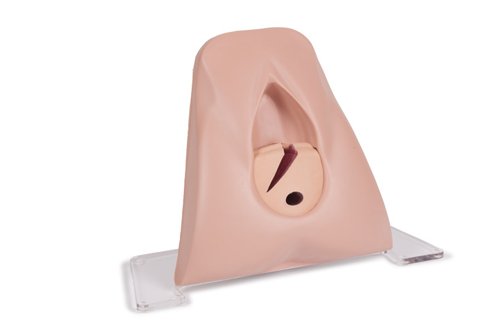 perineal_repair_trainer_60450__2_720x480_72_rgb.jpg