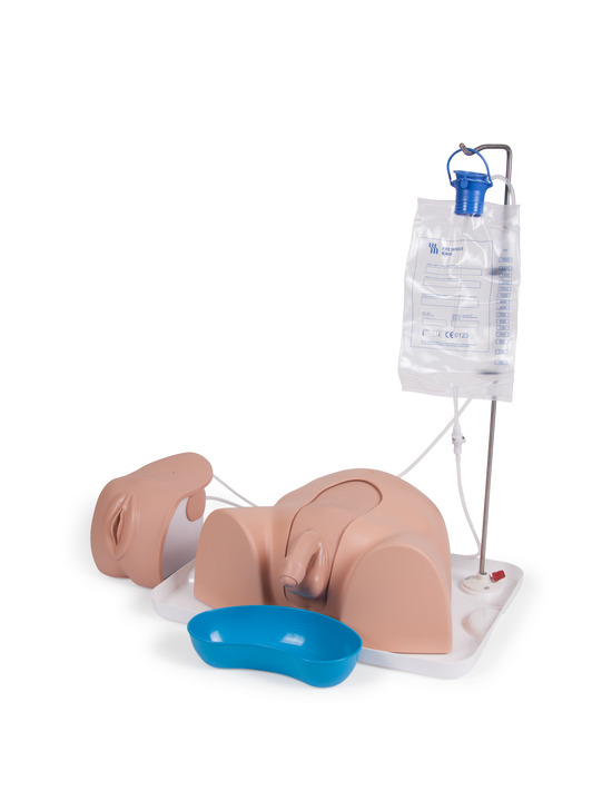 Advanced_Catheterisation_Trainer_60150_532x720_72_RGB.jpg Advanced_Catheterisation_Trainer_60150_532x720_72_RGB.jpg