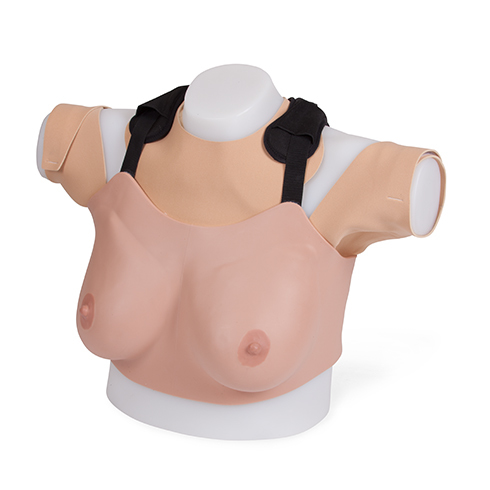 Breast Examination Trainer
