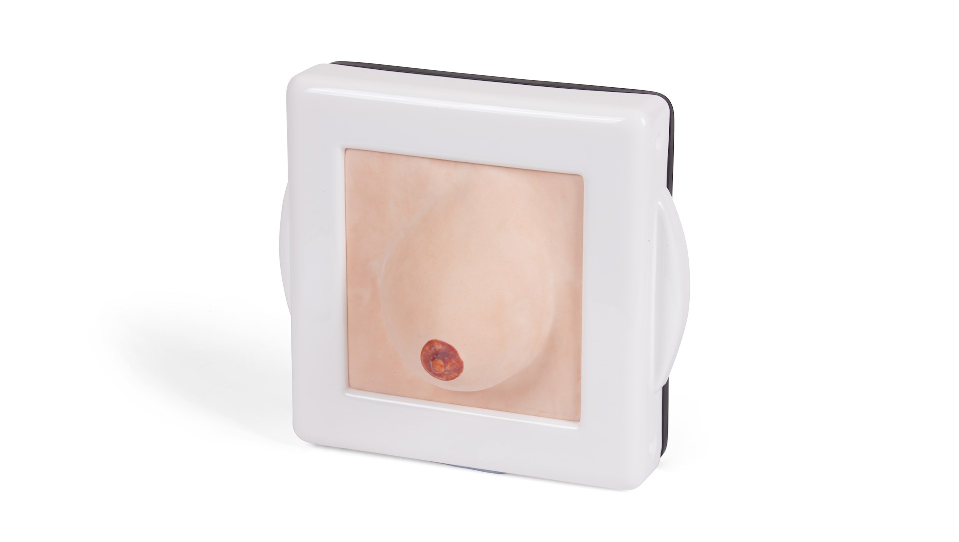 40044-1-examination-diagnostic-breast-trainer.jpg