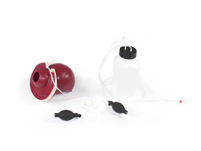 提示Flex PPH模块