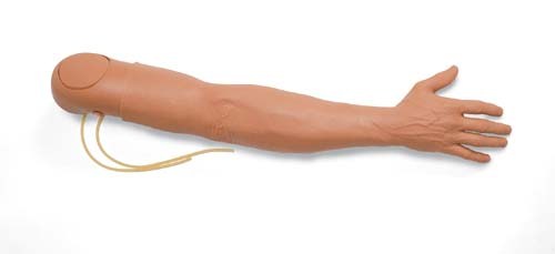 IV Arm Trainer (2 vein system).jpg