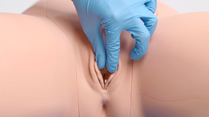 60851_Female_Catheterization_Trainer-03-720x405-98189f9d-ad30-4cc8-a4f4-ee9ca06bd53a.png