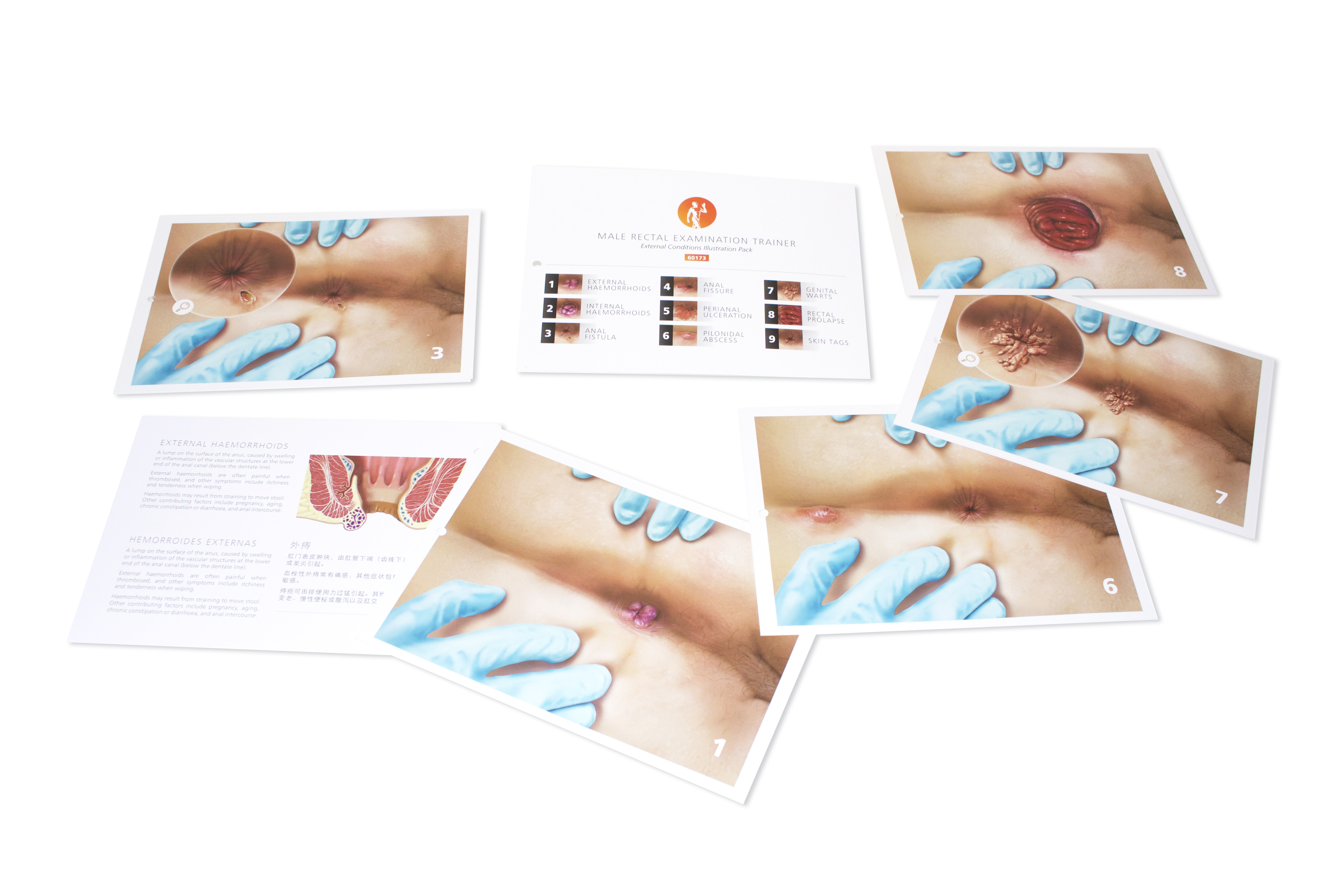60173_external_consitions_illustration_pack.jpg