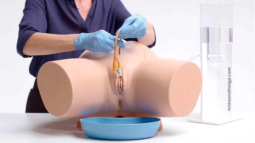 60851_female_catheterization_trainer-04.jpg