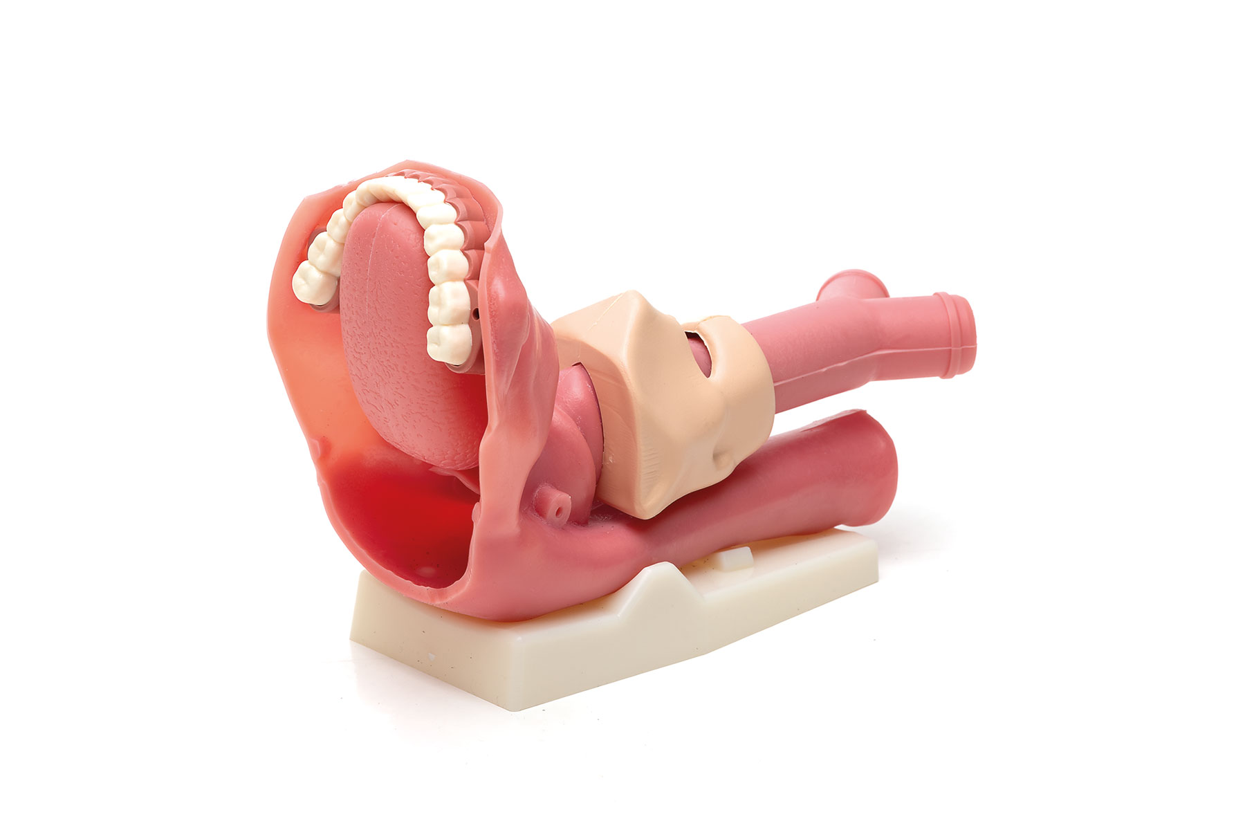 laerdal-airway-management-trainer-demo-model.jpg