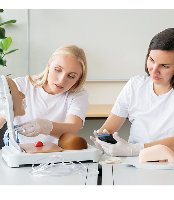 MST2 pair training.png